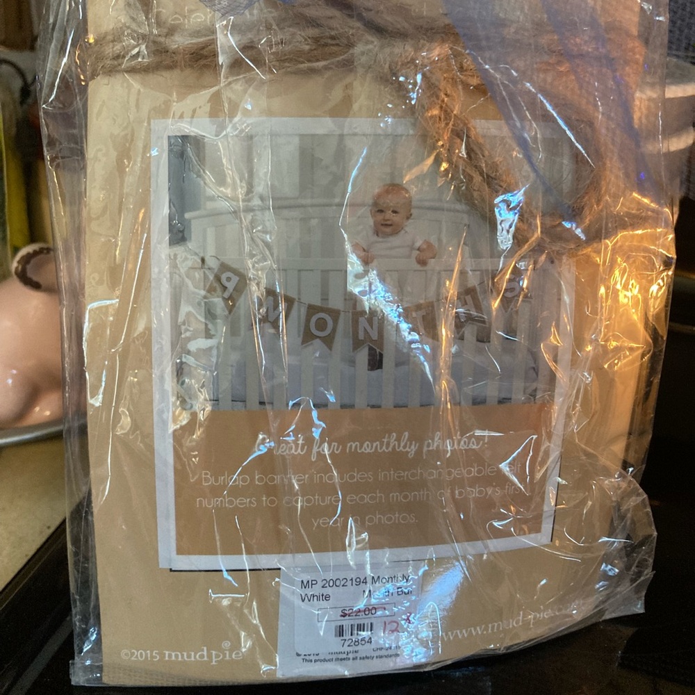 Baby Monthly Photo Op Prop Banner